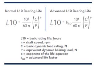 What is L10 Life?